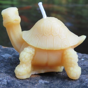 Little Turtle Beeswax Candle / 100% All Natural / Reptile / Tortoise / Turtle Candles / Birthday Gift / Event / Animal / Pond / Patio