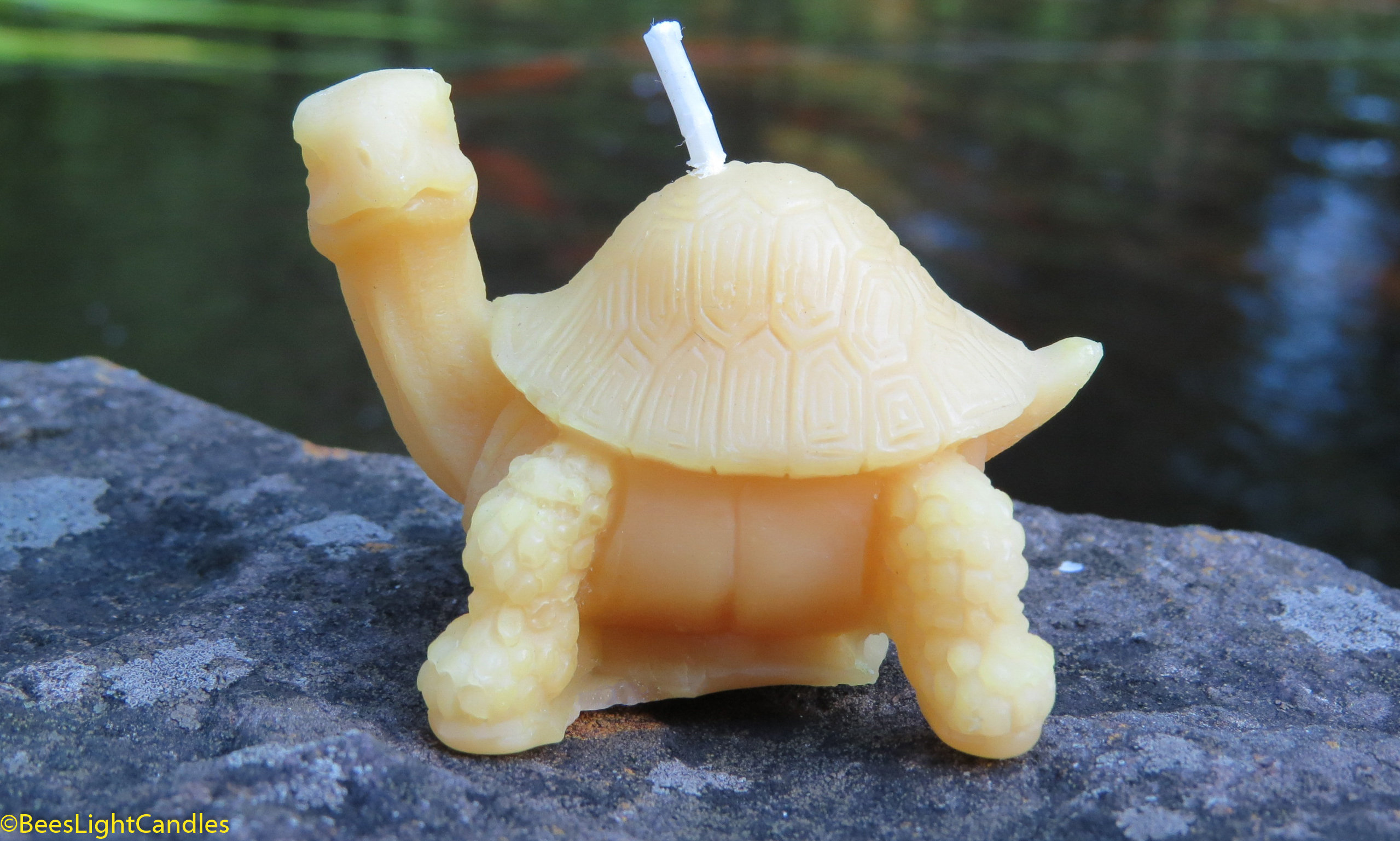 Little Turtle Beeswax Candle / 100 All Natural / Reptile / Etsy