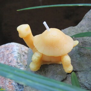 Little Turtle Beeswax Candle / 100% All Natural / Reptile / Tortoise ...