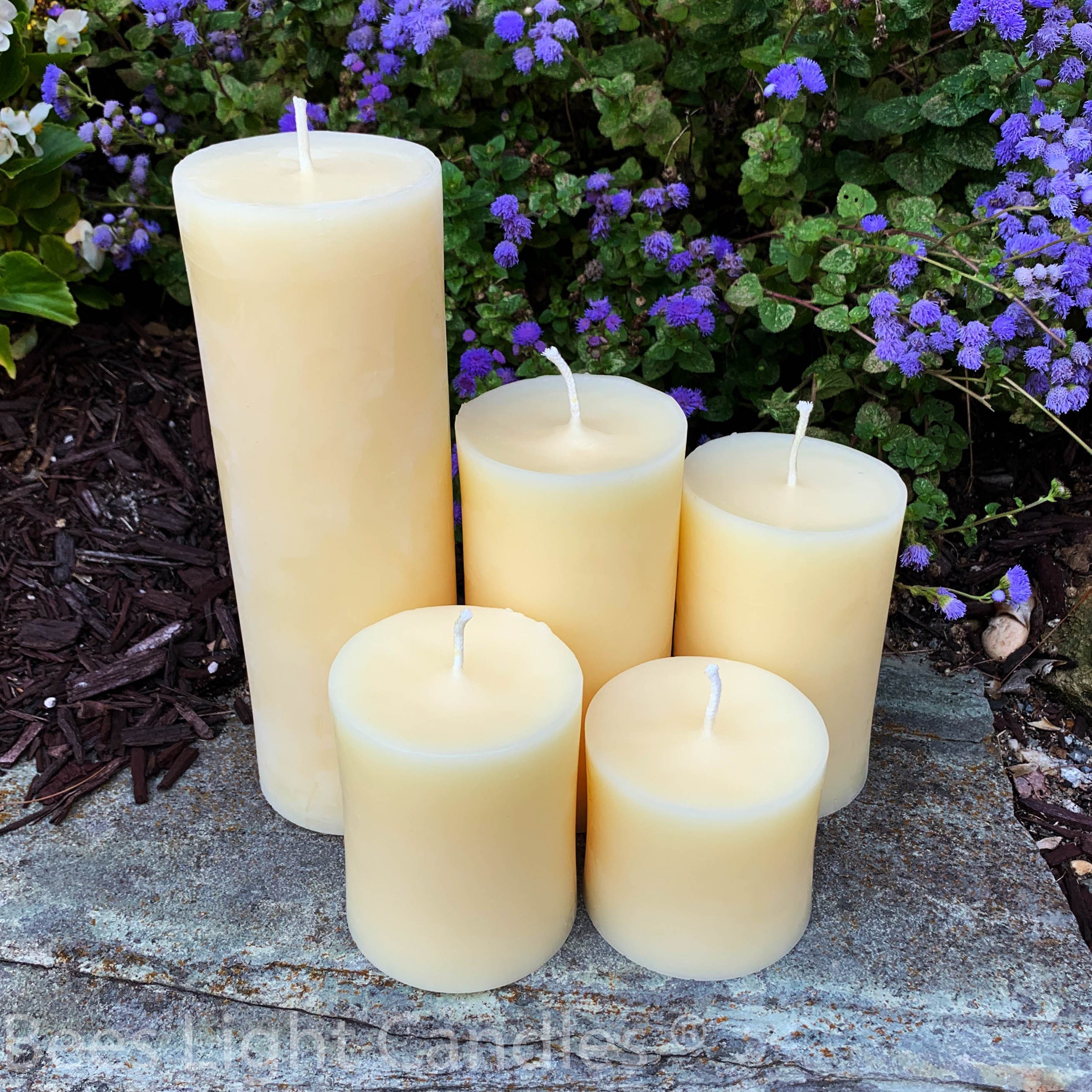  200 Tealight Beeswax Candles BULK 100% Natural Handcrafted in  USA/Aluminum Cup Tea Lights/Wedding/Event/Party/Holiday/Clean Burning  Emergency Candle/Unscented/Allergy Friendly/Natural Honey Aroma : Home &  Kitchen