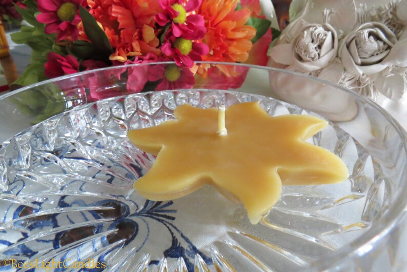 Floating Sun Beeswax Candle 100/% All Natural Sun Wheel Party Event Floats in Water Handmade Summer Pond Bird Bath Pool