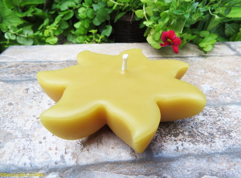 Floating Sun Beeswax Candle  100/% All Natural  Sun Wheel  Party Event  Floats in Water  Handmade  Summer  Pond  Bird Bath  Pool