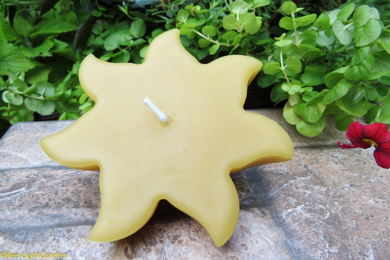 Floating Sun Beeswax Candle 100/% All Natural Sun Wheel Party Event Floats in Water Handmade Summer Pond Bird Bath Pool