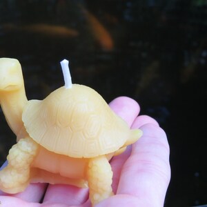 Little Turtle Beeswax Candle / 100% All Natural / Reptile / Tortoise ...