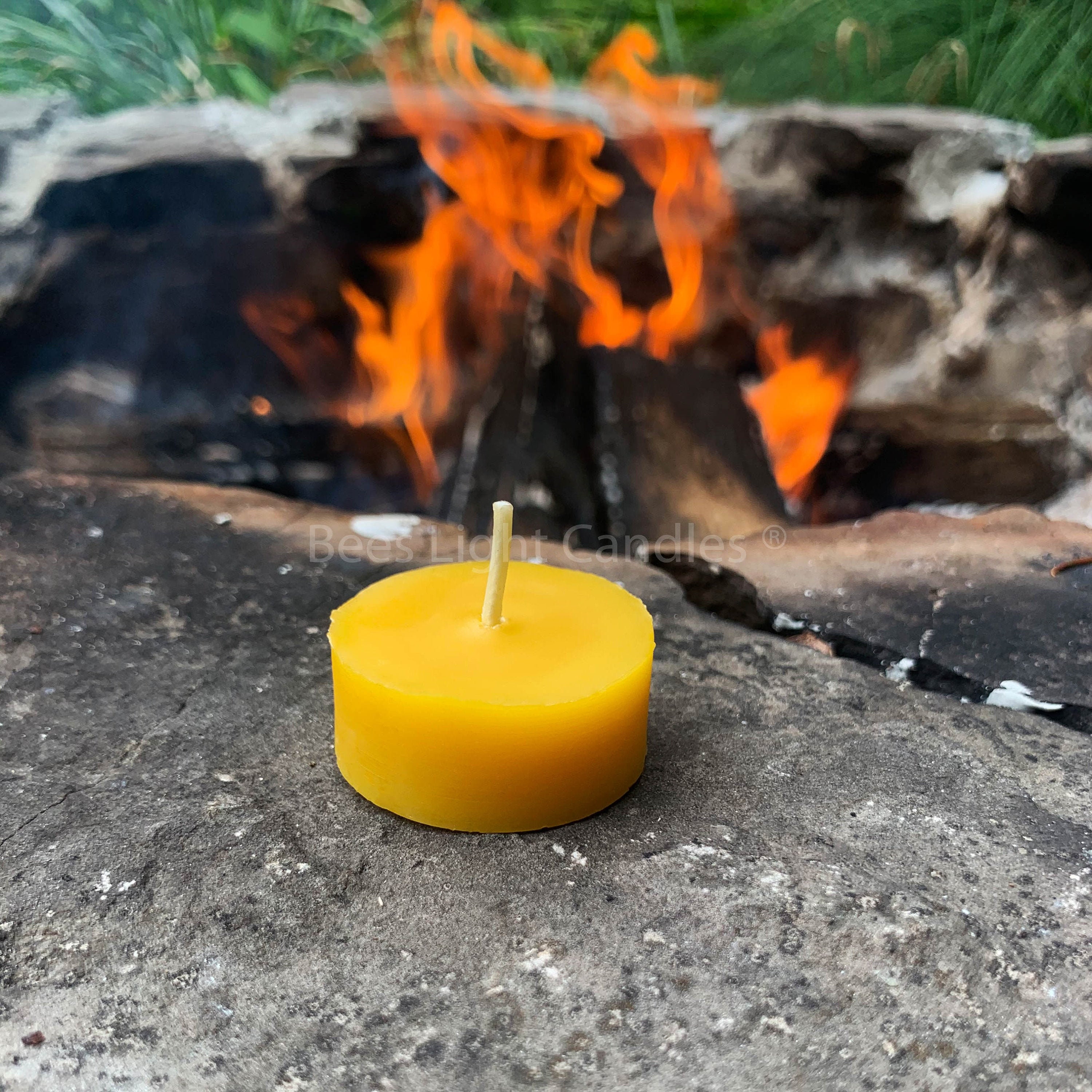 50 Tealight Beeswax Candles BULK 100% Natural Handcrafted in USA/Clear Cup  Tea Lights/Wedding/Event/Party/Holiday/Clean Burning Emergency Candle/Unsce