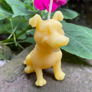 Cartoon Dog Beeswax Candle / All Natural Beeswax Candles / USA Handmade / Yellow / Puppy / Doggo / Collar / Gift / Animal Collection / Cute