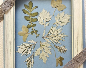 Pressed Silver Green Leaves, Botanical Craft Supply, Real Greenery Mix