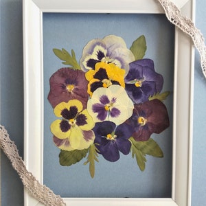 Pensamientos prensados para enmarcar. Juego de 9 pensamientos auténticos y coloridos para manualidades. Material de arte con flores prensadas. Pensamientos secos y auténticos, seleccionados a mano.