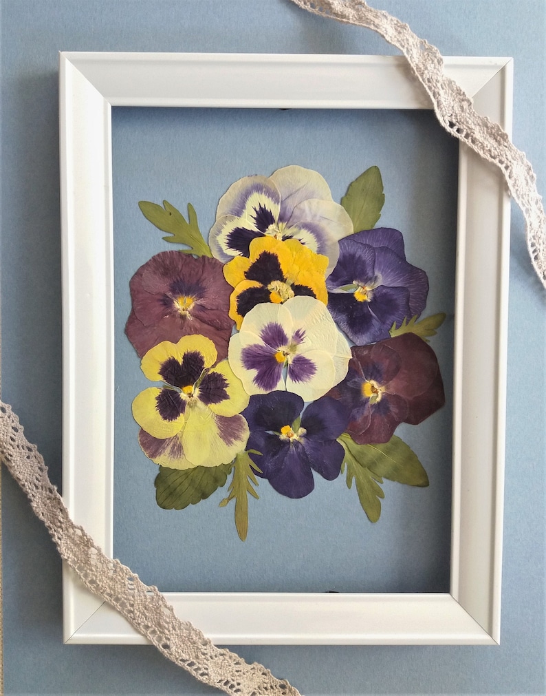 May include: A white frame with a blue background and a pressed flower arrangement of purple, yellow, and white pansies.
