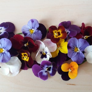 May include: A collection of colorful pansies with purple, blue, yellow, white, and red petals. The pansies are arranged in a row on a light brown wooden surface.