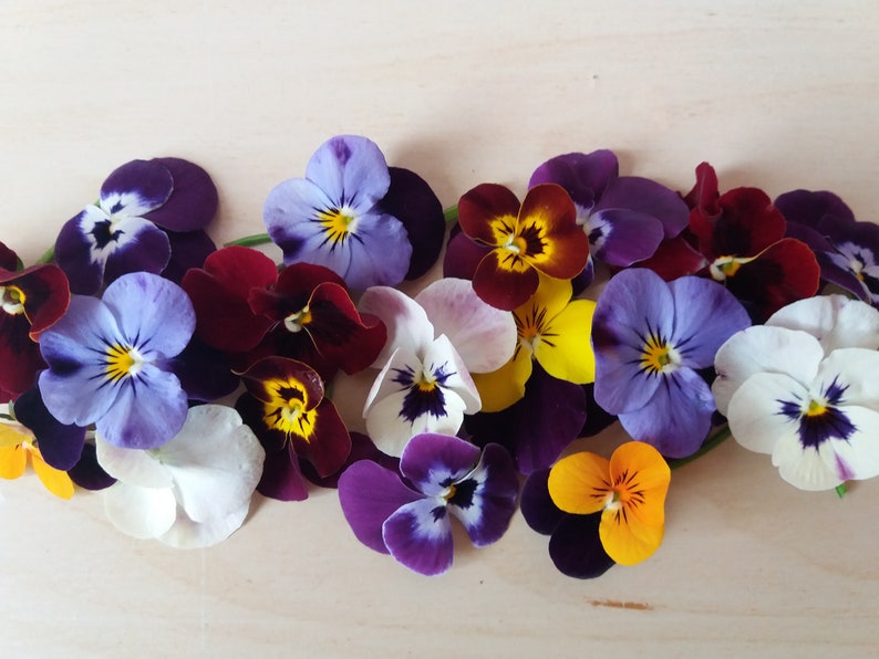 May include: A collection of colorful pansies with purple, blue, yellow, white, and red petals. The pansies are arranged in a row on a light brown wooden surface.
