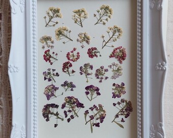 Colorful Alyssum Flower, Resin Projects, Floral Craft, Purple & Pink Flower Art