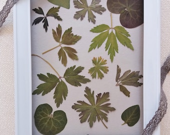 Pressed Woodland Leaves (16+) for Botanical Art & Crafts