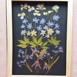 Mix di fiori primaverili della foresta. Fiori primaverili pressati per cornici, creazione di biglietti, arte in resina. Fiori veri essiccati per arte botanica. Amante della primavera