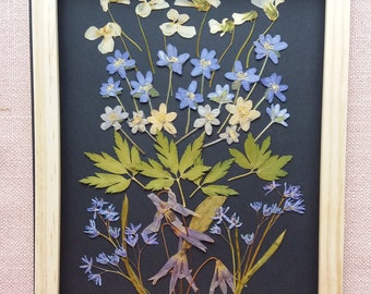 Springtime forest flower mix. Pressed spring flowers for framing, card making, resin art. Real dried flowers for botanical art. Spring lover