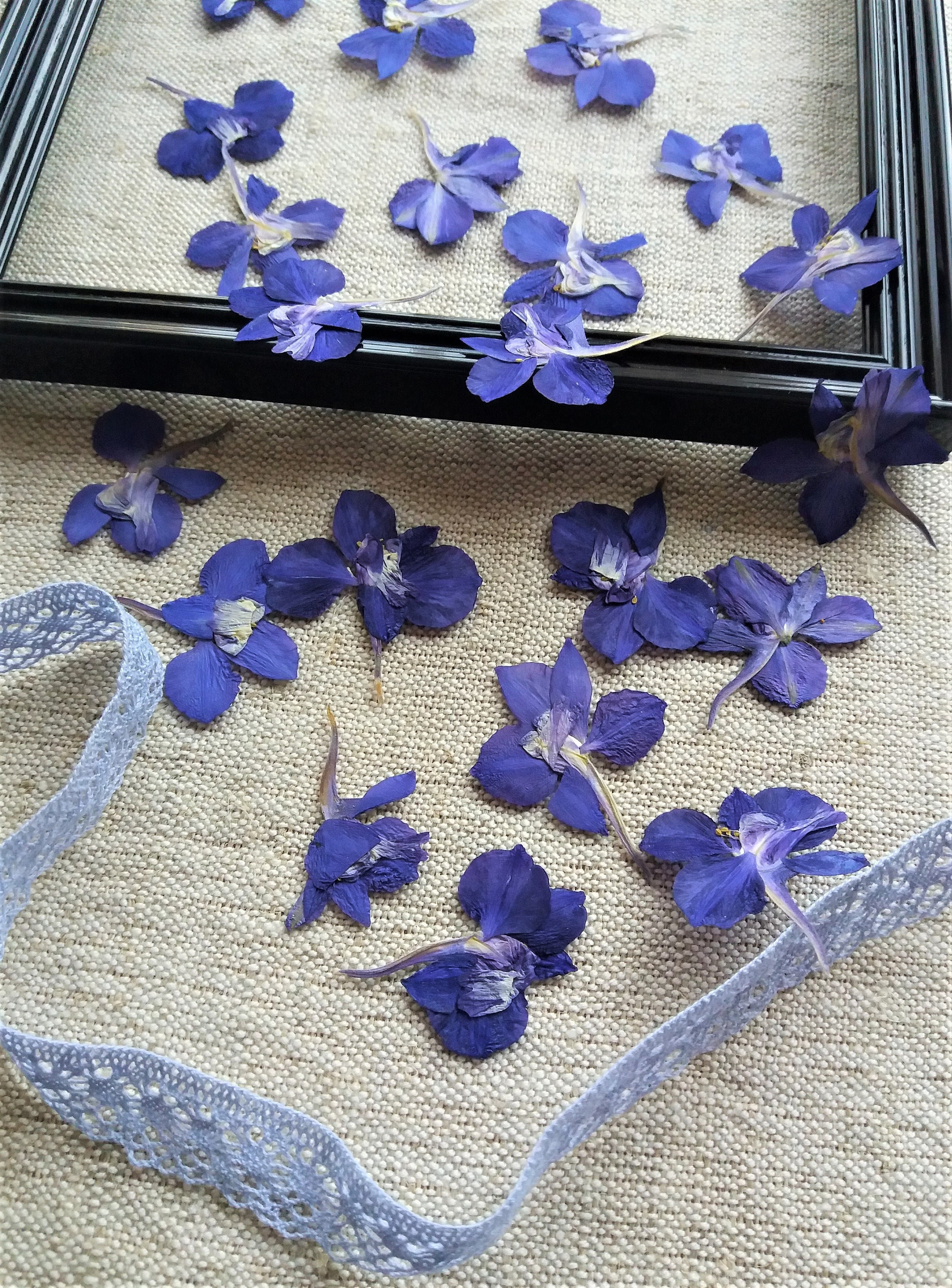 Pressed Blue Flower Set 10pcs, Dried Pressed Flower Mix, White Flower Set, Dried  Flowers for Crafts and Invitations, Card Making Flowers 