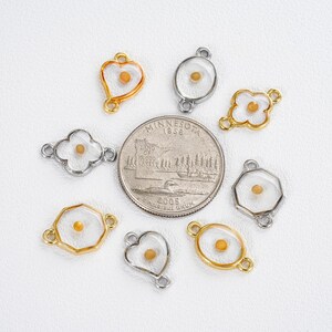 Pu&ograve; includere: Una collezione di ciondoli a tema seme in varie forme, tra cui cuori, ovali e fiori. Alcuni ciondoli hanno cornici color oro, altri sono argentati. Una moneta da un quarto di dollaro statunitense &egrave; al centro, come riferimento delle dimensioni.