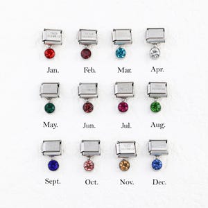 Puede incluir: Una colección de dijes de acero inoxidable, cada uno con una piedra preciosa de diferente color. Los meses del año están etiquetados debajo de cada dije, de enero a diciembre. Las piedras preciosas son rojas, granates, turquesas, claras, verdes, granates, rosas, verdes, azules, rosas, doradas y azules.