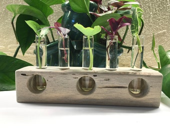 Unique Handmade Plant Propagation Station Plant Stand With Glass Tubes Wall Mount Or Countertop
