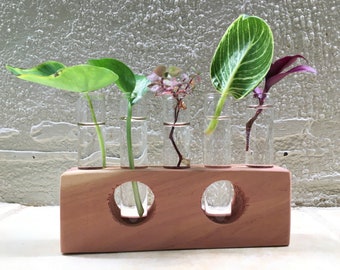 Unique Handmade Plant Propagation Station Plant Stand With Glass Tubes Countertop Use