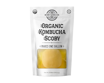 Organic Kombucha SCOBY - 8 fl oz