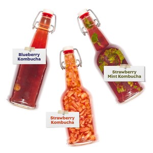 The Complete Kombucha Brewing Starter Kit with Culture | Fermentaholics USDA Certified Organic Making Kit (The Pro Kombucha Brewing Kit) image 7