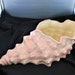 see more listings in the Pottery and Glass section