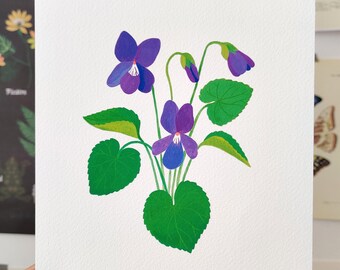 May include: A botanical illustration of a violet flower with green leaves. The illustration is titled "VIOLETTE ODORANTE "Viola odorata"".