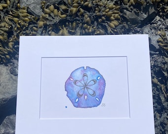 Sand Dollar Watercolor Print