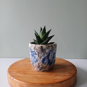 May include: A small succulent plant in a decorative ceramic pot with blue and white floral patterns. The pot sits on a round, wooden plant stand. The plant has dark green, pointed leaves.