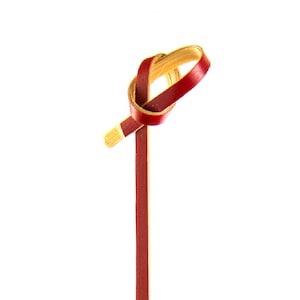 200/Pack - Party Supplies 3.54inch/90mm Disposable Cocktail Fruit Red Knotted Bamboo Skewers