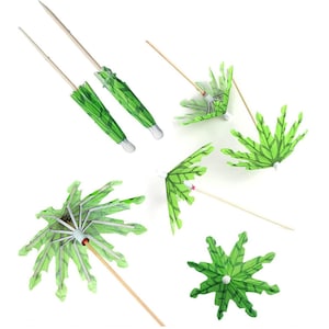 Puede incluir: Seis sombrillas de cóctel de papel verde y blanco con brochetas de madera. Las sombrillas están en varias posiciones, algunas abiertas y otras cerradas.