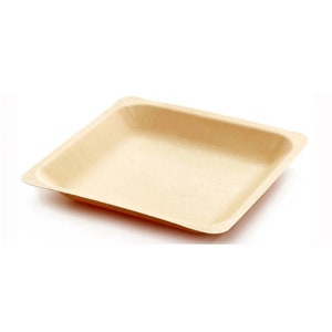 10 Pieces - Party Supplies Disposable Tableware, 7.1inch (180mm) Tableware Natural Biodegradable Wood Square Serving Plate