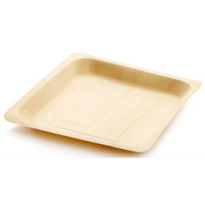 10 Pieces - Party Supplies Disposable Tableware, 9.1inch (230mm) Tableware Natural Biodegradable Wood Square Serving Plate