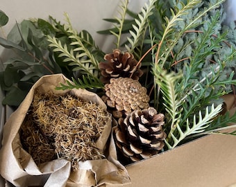 Fresh Mini Contemporary Christmas Wreath or Wreath Kit, Real Pine, Door Decor