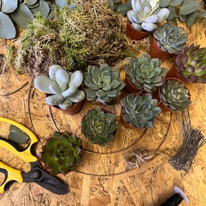 fresh succulent wreath, wreath making kit, spring  wreath, gift for parents, real wreath, outdoor wreath, wedding decor , event decoration
