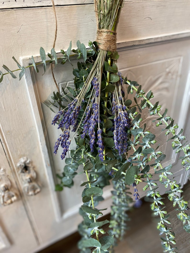 Aromatherapy Eucalyptus shower steamers, rosemary, lavender aromatherapy, dried shower bunches, shower hanging eucalyptus, aromatherapy image 3