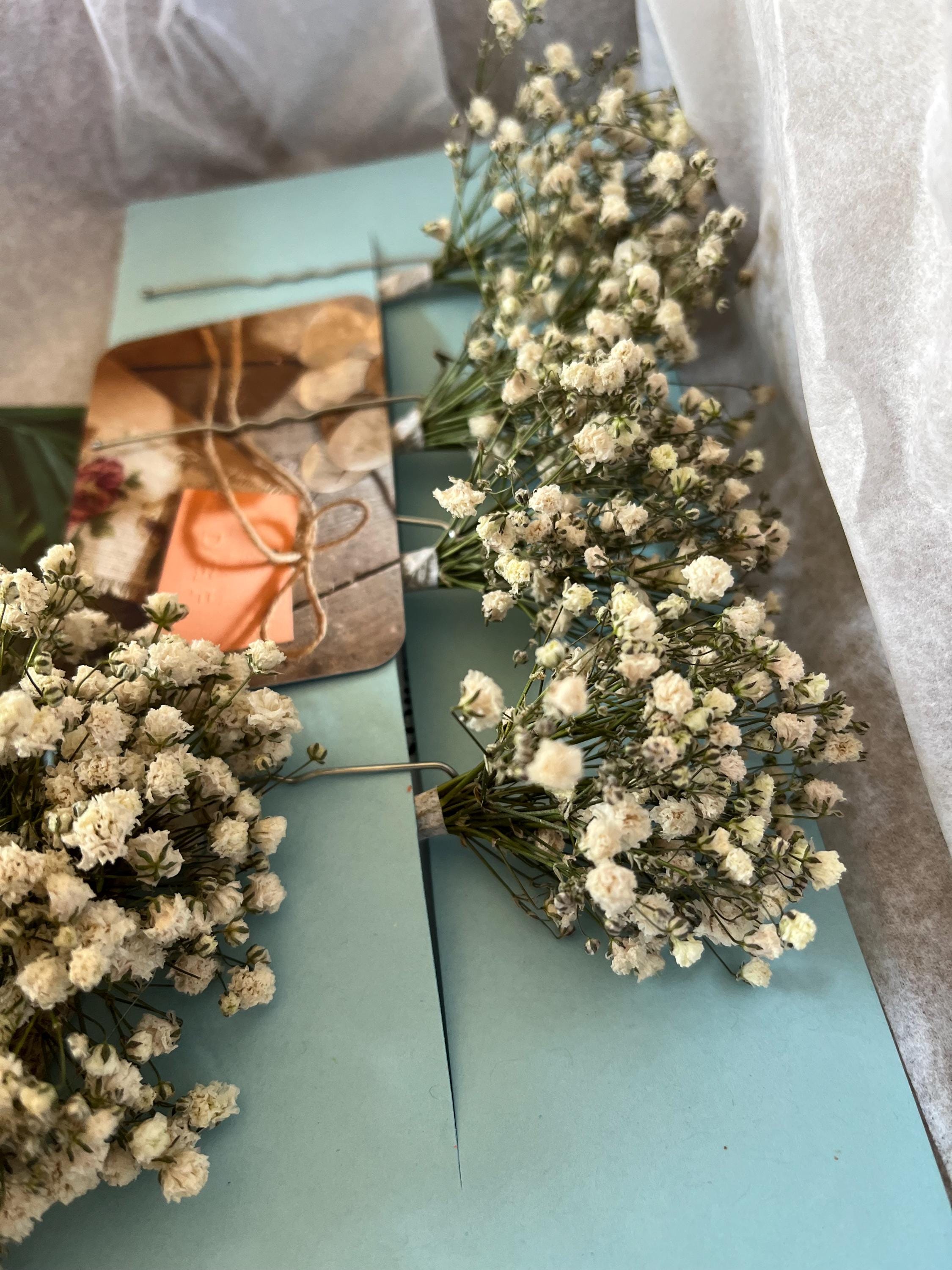 Dried Gypsophila Flower Hair Pins: Boho Wedding Accessories - Etsy