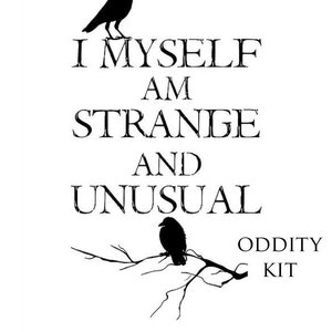 Oddity Kit by Daysela. Subskrypcje Boxów. Pudełka Witch. Zestawy Witch. Strange Mystery Box. Prezenty WeirdCore na Halloween. Witchcore Crystalcore.
