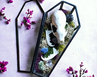 Enchanting Glass Coffin with Mink Skull, Preserved Moss, and Crystal Accents - Unique Gothic Decor