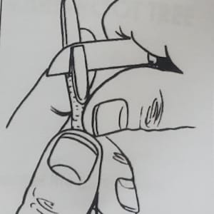 May include: Black and white line drawing of a person using a nail file on a fingernail. The image shows a close-up of the hand holding the file and the finger being filed. The nail file is a light color.