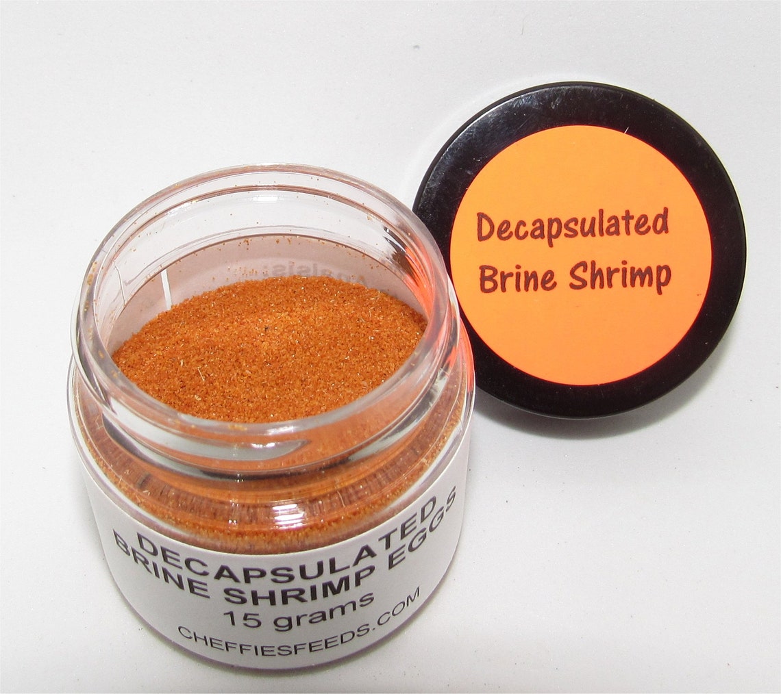 5 Baby Fry Powdered Fish food Golden Pearls Freeze Dried Etsy