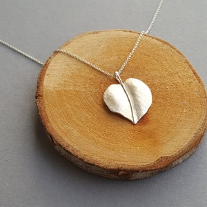 May include: A silver necklace with a heart-shaped leaf pendant. The pendant is textured and has a raised vein down the center.