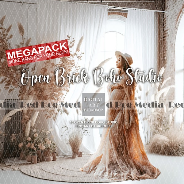 MEGAPACK 10 Open Brick Boho Studio Fine Art Backdrops, Fine Art Digital Backdrop, Boho Studio Backdrop, Photo editing, Digital Backdrops