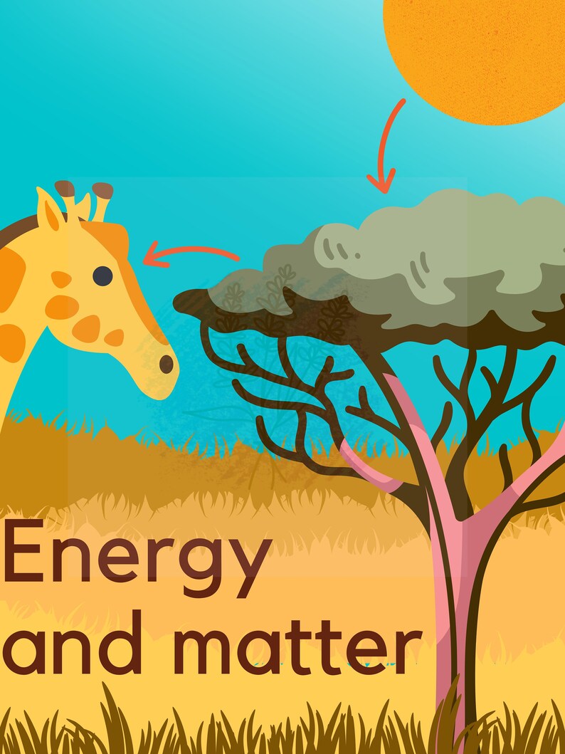 NGSS Cross Cutting Concepts Science Poster - Etsy