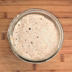 Mature Organic Whole Wheat Sourdough Starter image 1