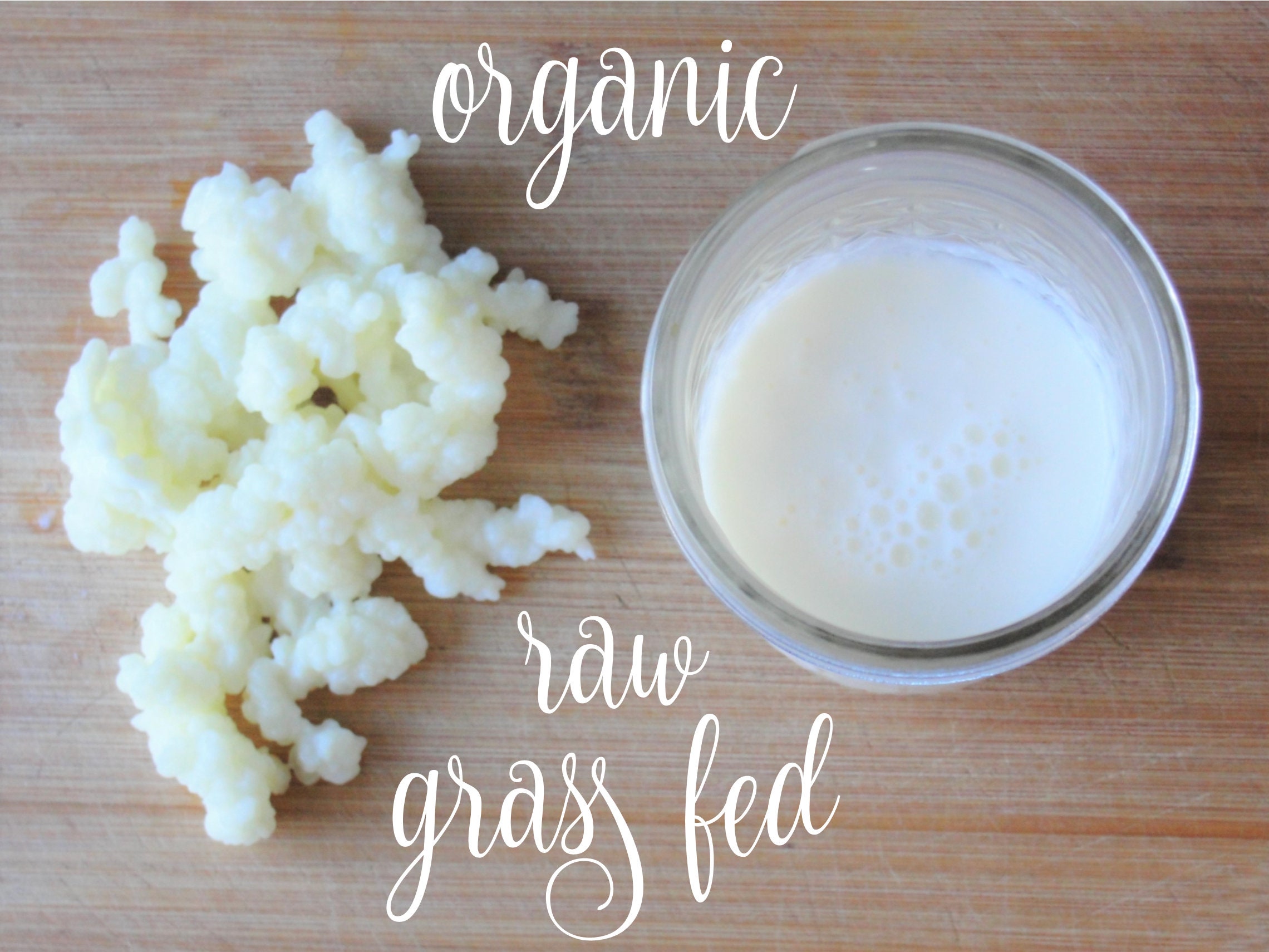 Featured image of post How to Make Live Milk Kefir Grains For Sale