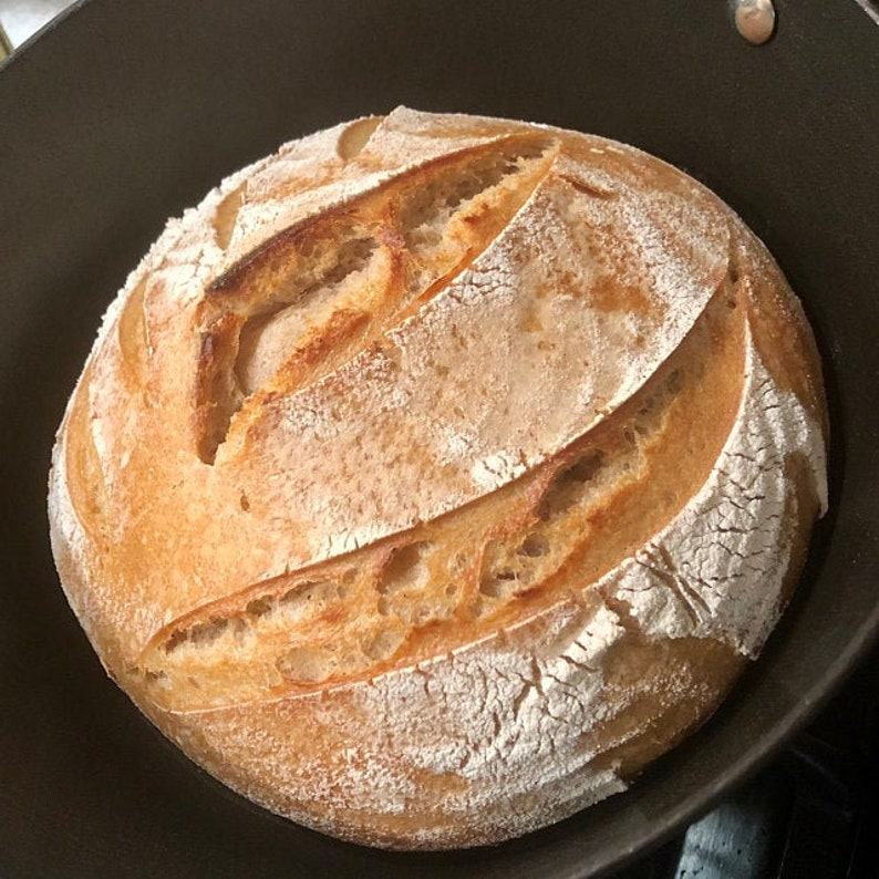 Mature Organic Whole Wheat Sourdough Starter image 2