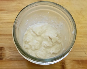 Organic Gluten Free Brown Rice Sourdough Starter