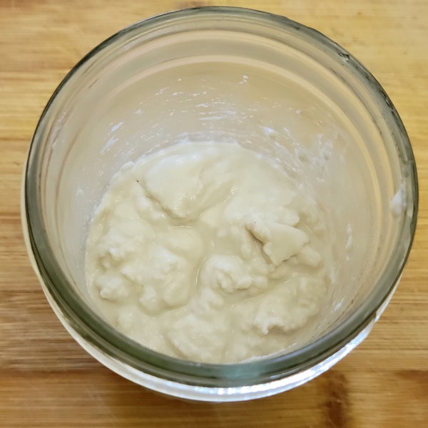 Organic Gluten Free Brown Rice Sourdough Starter